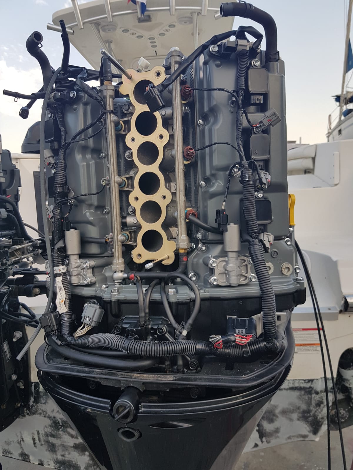 Mantenimiento de un motor fueraborda: aspectos básicos - Ibiza Boat Service